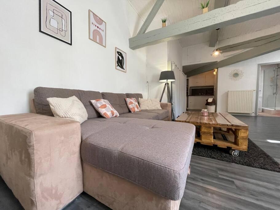 L'Appartement Marceau - 55M2 - Carcassonne Centre ภายนอก รูปภาพ